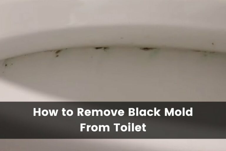 Black Stuff in Toilet? How To Remove Black Mold From Toilet Tank