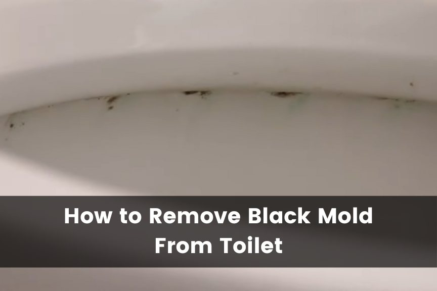 Black Stuff in Toilet