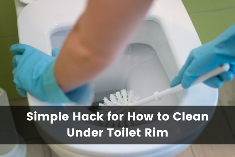Hack for How To Clean Under Toilet Rim