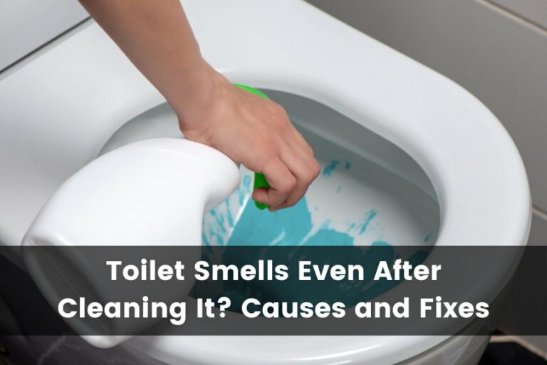 Toilet Smells Even After Cleaning It? Causes and Fixes