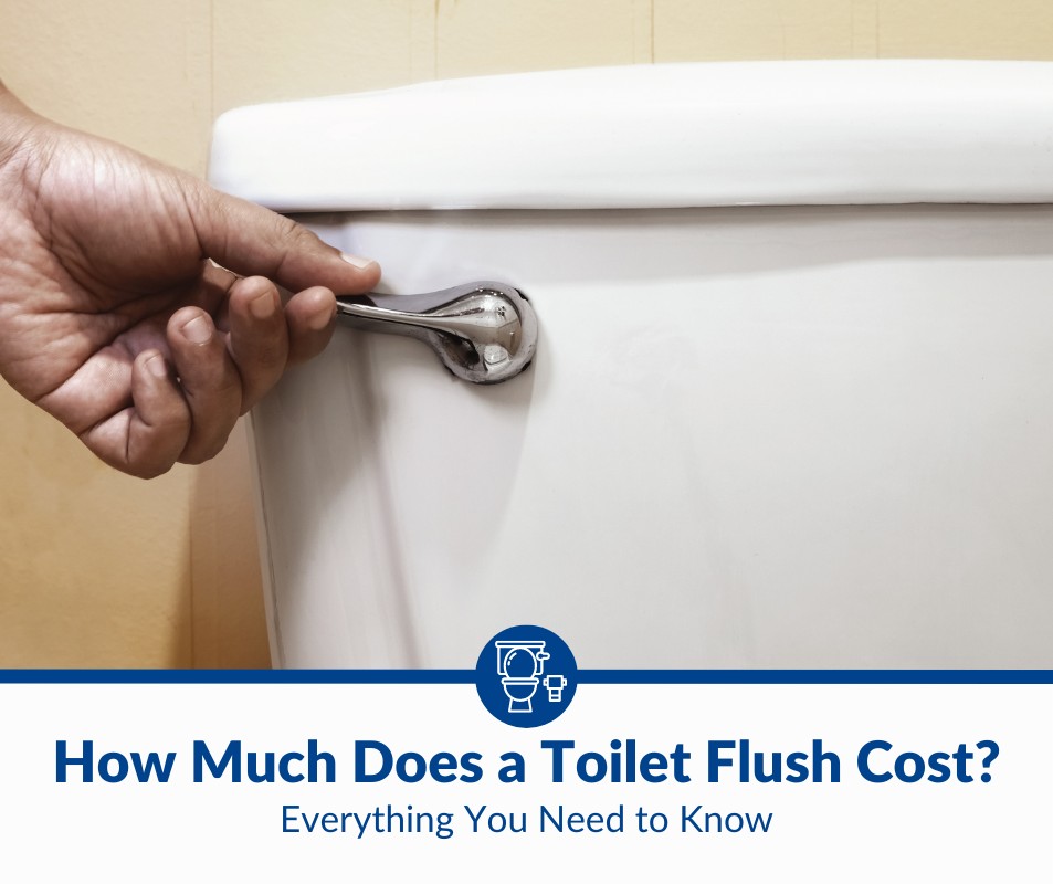 How Much Does a Toilet Flush Cost