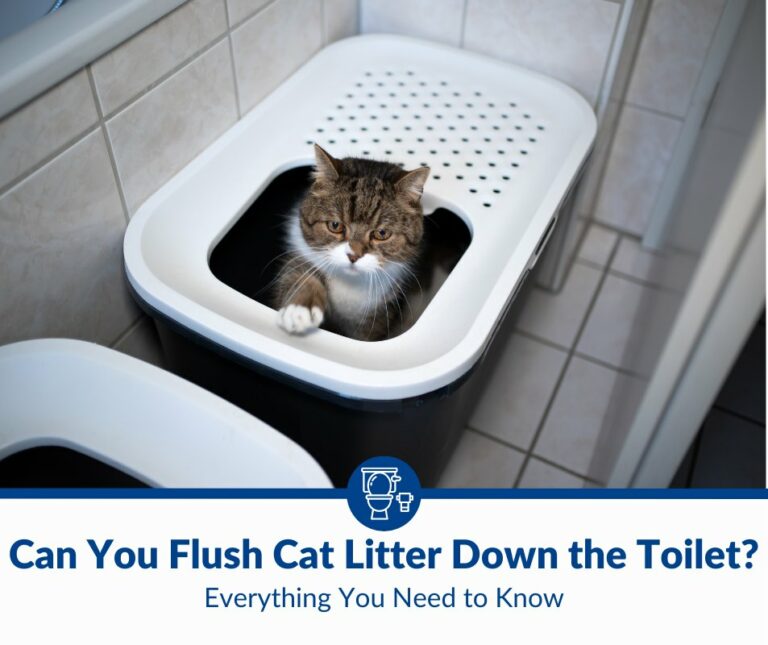 Can You Flush Cat Litter Down the Toilet?